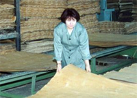 Объем производства фанеры в Вологодской области вырос на 7% 