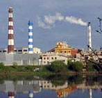 mostovdrev.jpg