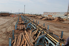 Югорский лесопромышленный холдинг