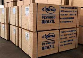 brasil-fanera-4.jpg
